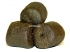 CC Moore Pre Drilled Halibut Pellets 5kg